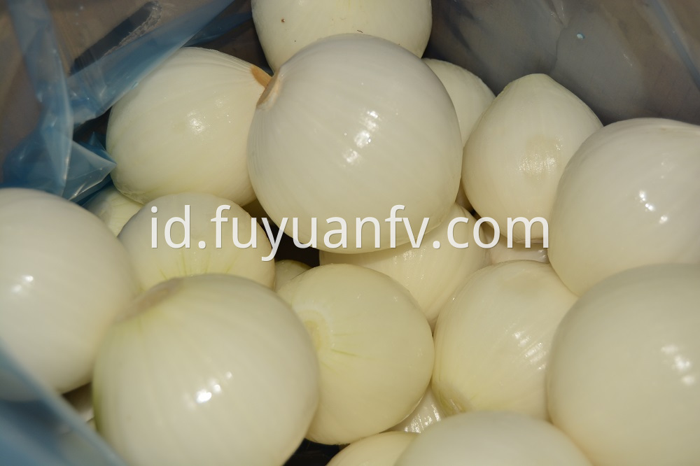 yellow peeled onion 